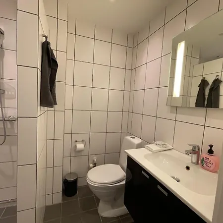 Apartamento One Bedroom In Aalborg, Vesterbro 30 *