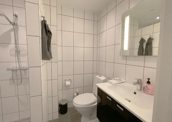 One Bedroom In Aalborg, Vesterbro 30 Apartment