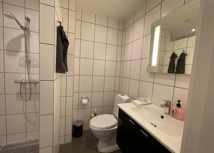 Apartment One Bedroom In Aalborg, Vesterbro 30 *